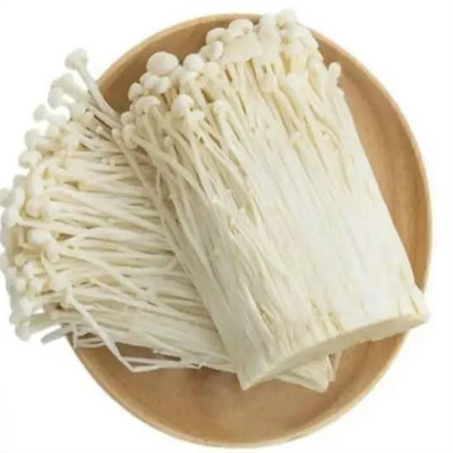 金针菇 金针菇