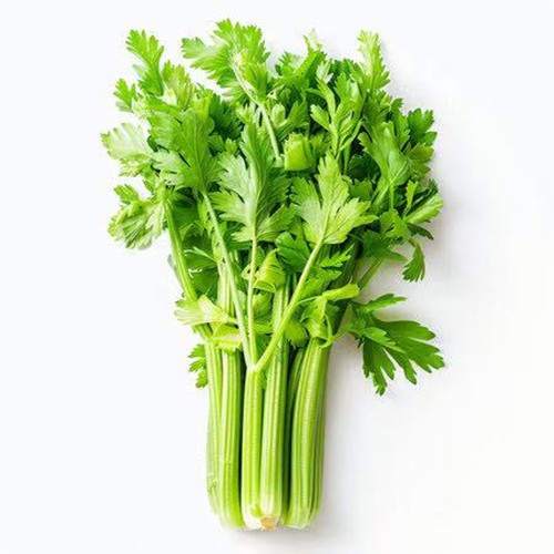 鲜芹菜 鲜芹菜