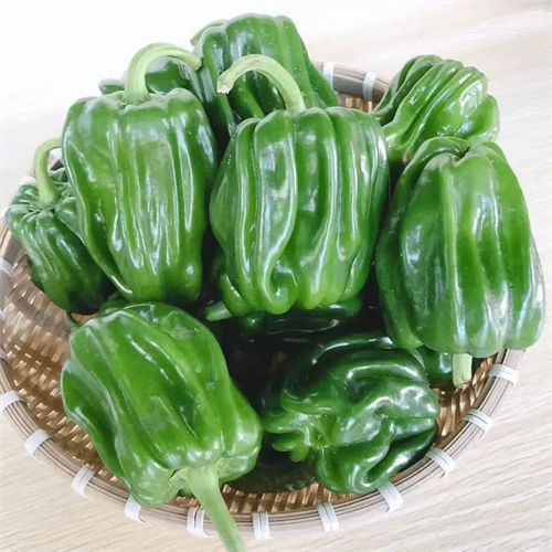 麻椒 麻椒